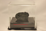 BCW BallQube Fossil Mineral Geode Amethyst Display Case