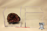 BCW Grandstand Fossil Mineral Geode Amethyst Rock Meteorite Display Case Holder