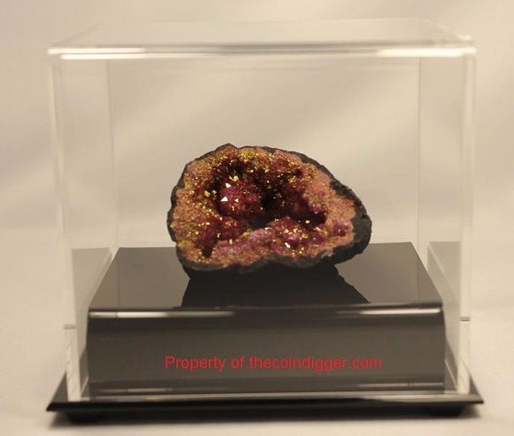 BCW BallQube Fossil Mineral Geode Amethyst Display Case