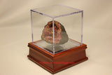 BCW Cube Geode Fossil Mineral Rock Amethyst Display & Wood Mirror Base Stand