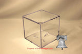 BCW Grandstand Fossil Mineral Geode Amethyst Rock Meteorite Display Case Holder