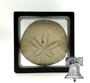 3D Magic Frame 90 Display Stand 3.5x3.5 Floating Coin Bottle Cap Gold Silver Bar - The Coin Digger